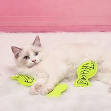 Check spelling or type a new query. Hewan Peliharaan Mainan Catnip Chew Kucing Memancing Mainan Boneka Plush Kucing Mainan Kapas Kitty Ikan Mainan Interaktif Mengunyah Anak Kucing Lucu Mainan Perlengkapan Mainan Kucing Aliexpress