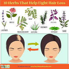 Generally, it has an enzyme called proteolytic that works on the scalp; 10 Herbs That Help Fight Hair Loss Top 10 Home Remedies