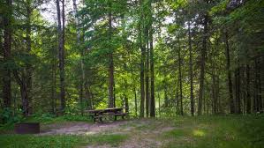 Lots of choices and food is always good. White Pine Canoe Camp Michigan