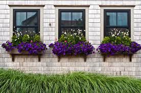 Window box planters are such an adorable addition to any home, and they really solve a lot of problems. Window Box Planting Ideas For 4 Seasons Of Interest