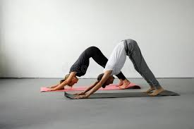 We did not find results for: 476 Down Dog Pose Yoga Photos Free Royalty Free Stock Photos From Dreamstime