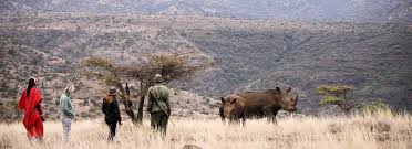 The lewa wildlife conservancy works as a model and catalyst for the conservation of wildlife and its habitat. Laikipia Plateau Kenya Game Reserves