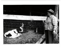 Southern Agriculture Oral History Project Records