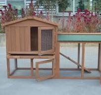 [Hot Item] OEM Pet House Quality Fir Wood Ecofriendly Wooden Rabbit Hutch  with Warer-Based Paint