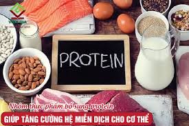 9 Nhóm thực phẩm tăng cường hệ miễn dịch tốt nhất
