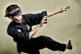 Pencak silat is bela diri, it is self defense, but it is also tenaga dalam, it is inner power. Aspecten Pencak Silat Kembang