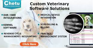 Donna Smith-Interrante