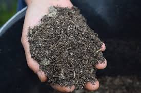 Consult your packaging for your seeds' germination time, but you should usually have good growth in 3 to 28 days. What Is The Best Time To Water Grass Seed Lawn Chick