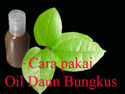 We did not find results for: Terjual Daun Bungkus Daun Tiga Jari Kaskus