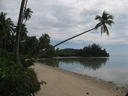 Gambar lucu emang selalu bisa jadi mood booster, apalagi kalau dibagikan di grup wa. Pokok Kelapa Condong Mapio Net