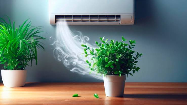 Rental AC
