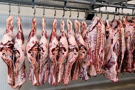 5,700+ Cow Butcher Photos Stock Photos, Pictures & Royalty-Free Images -  iStock