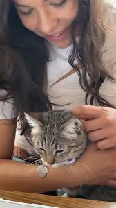 Mi prim @therealaleromo me tomó esta foto hermooooosaaaaa con Mia 😃✨., Mia  me lloraba cuando fui al 🫧 a lavarme las manos jajaja y después ronroneaba  y la cargué. No podíamos creer que Mia estuviera ...