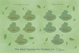 100 Names For Pet Snakes