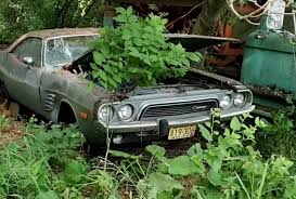 Image result for Frosty Green 1974 Challenger