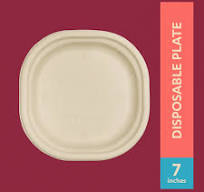 Buy Disposable Plates Made from Sugarcane | CHUK