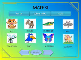 Materi bahasa inggris tentang animals beserta gambarnya. Pertemuan I The Animals Around Us Ppt Download