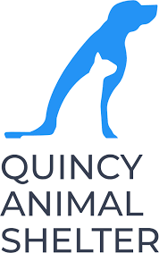 Many pets turn up by themselves within a few hours. Lost And Found Pets Quincy Animal Shelter
