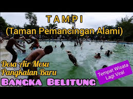 Viral Wisata Tampi Taman Pemancingan Alami Air Mesu Bangka Belitung Youtube