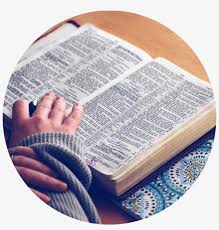 Dummies helps everyone be more knowledgeable and confident in applying what they know. Biblia Min Great Adventure Catholic Bible Png Image Transparent Png Free Download On Seekpng