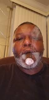 Lost dogs found near 19th street in Lubbock