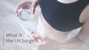Lh Surge For Fertility Length Testing And Timing