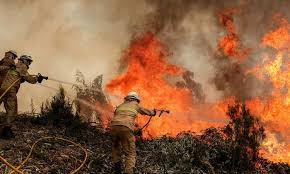 Hasta ahora hay 50 incendios forestales en 13 estados del país, los cuales han afectado alrededor de 16 mil 801 hectáreas. Yo Influyo News Mexico No Esta Listo Para Incendios Forestales