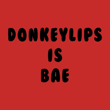 Donkeylips Is Bae Shirt Salute Your Shorts The Splat Nickelodeon By 90sblock Bae Shirts Nickelodeon Nickelodeon 90s