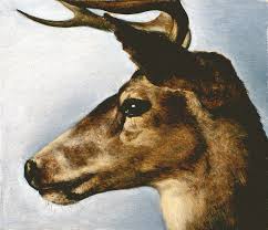 Bildergebnis für Robert Devriendt