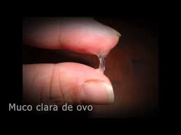 Tipos De Muco Qual A Diferenca Entre Eles Trocando Fraldas