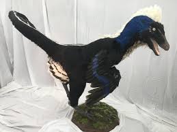We did not find results for: Deinonychus Raptor W Real Feathers Darwin And Wallace A Nature Fossil Store