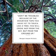 This one is perfect for the growing toddler. Don T Be Troubled Because Of The Mountain Tops You Have Yet To Touch Like A Tree You Will Grow Not Fr Morgan Harper Nichols From The Ground Up Mountain Top
