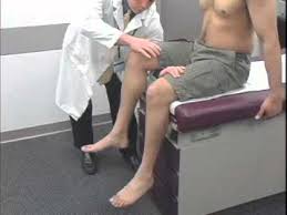 Image result for Fulcrum Test