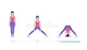 Yoga Pose Prasarita Padottanasana Exercise Step By Step Stock Vector Illustration Of Beginner Exercise 187521749