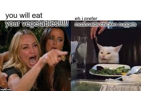 9.so much that you somehow end up seeing them in everything. Woman Yelling At Cat Meme Imgflip