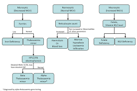 Clinical Practice Guidelines Anaemia