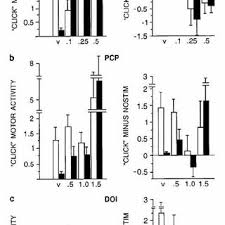 Pamela P Auerbach's research works