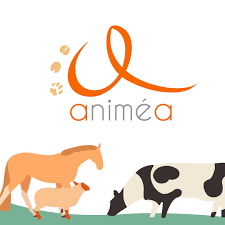 Cliniques Vétérinaires Animéa, Site des Grands Animaux : Chevaux, Bovins
