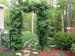It's in a partly shady spot but i'm hoping this time next year it will be growing as the trellis. Arch Of Climbing Hydrangeas Garden Arch Climbing Hydrangea Outdoor