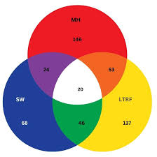 Image result for Strephonema mannii