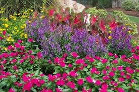Pin On Garden