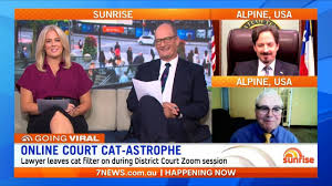 The amusing mishap happened to presidio county attorney rod ponton during a live streamed hearing this. Sunrise Judge And Laywer Speak Out About Hilarious Cat Filter Zoom Fail Facebook