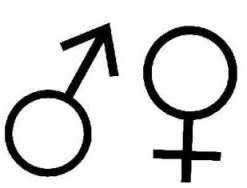 Manner Werten Anders Frauen Auch Die Literaturkritik Als Gender Diskurs