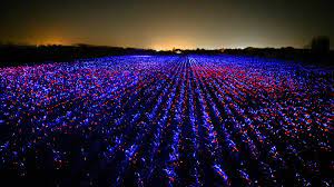 Bekijk meer ideeën over studio, futuristische mode, toekomstige mode. Grow Studio Roosegaarde