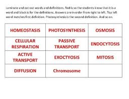 All cells share some of the same structures and basic functions, but cells also vary. Cells And Homeostasis Worksheets Teaching Resources Tpt