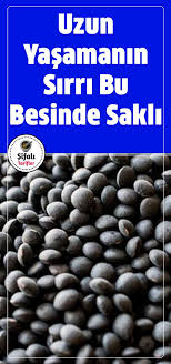 Uzun Yasamanin Sirri Bu Besinlerde Sakli Besinlerin Temel Amaci Vucudumuzu Zararli Etkenlerden Koruyarak Uzun Yillar Yasamami Saglik Saglikli Saglikli Yasam