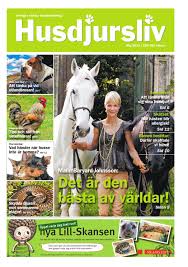 Ed johnsson was born circa 1883, to kajsa barjeson. Husdjursliv Nr3 Sommar Utgava By Stefan Envall Issuu