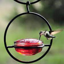 Great savings & free delivery / collection on many items. Couronne Company Sphere Hummingbird Bird Feeder Humming Bird Feeders Glass Hummingbird Feeders Bird Feeders
