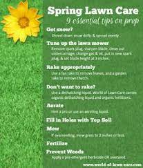 Lawns are greening up before our eyes. 100 Best Spring Lawn Care Tips Ideas Lawn Care Tips Lawn Care Lawn