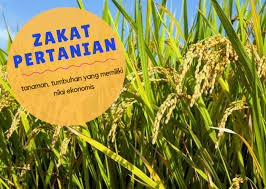 Pengertian Zakat Mal Ketentuan Zakat Mal Dan Cara Perhitungan Zakat Mal Pondok Islami Menebar Berkah Berbagi Manfaat